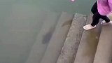 鱼，你好歹尊重一下我