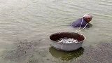 老村长太辛苦了，这么大年纪还要下水抓鱼吃，不容易啊！