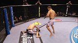 UFC-17年-UFC211完整前瞻：米奥西奇复仇战对决多斯桑托斯 耶德尔泽西克迎接第五位挑战者-专题