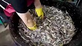泥鳅糊糊汤，韩国人偷学印度烹饪技艺，形似更神似！