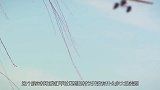 世界上最“有钱”的村子：家家都有私人飞机，真实原因扎心！
