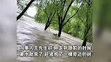 实拍钱塘江大潮惊险一幕，潮水10秒内狂涌进树林，男子紧急抱树逃生