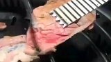 这种小鲜肉，是你的爱么