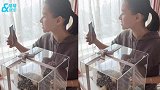 何超莲提前准备情人节礼物，分居一个月将与窦骁团聚，互动超甜