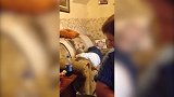 二货们这样的失误很搞笑