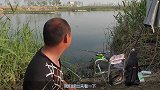 60公分长的野生大鲤鱼浮出水面，怪只怪这种钓法太不人道