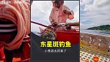 小男孩用东星斑当诱饵，钓到29斤石斑鱼，太厉害了！