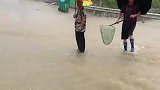 这一幕把人看呆，马路上抓了一只王八