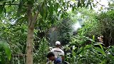 农村大叔赤手空拳摘大蜂蜜，蜂蜜好大，用脸盆装才行