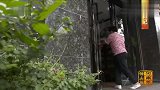 河南味道：确山凉粉！