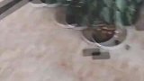 去西藏网恋奔现，竟然在拉萨遇到了初恋，比肥皂剧还要狗血