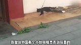 日照香炉生紫烟，近看臭脚在冒烟
