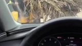 本来想说道两句的