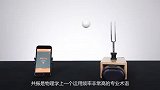 共振的威力有多大？将5个节拍器放在一起，有趣的事情发生了！