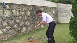 未来火葬会被淘汰？新技术已在城市试行，可能将在全国推广？