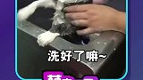 还有沐浴露呢就说洗好了