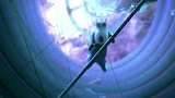 倒霉特工熊：贝肯熊这是在做什么？它不怕危险吗？