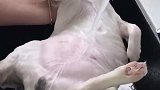 猫：你洗你的澡，我睡我的觉！