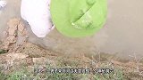 大叔在后院发现奇怪洞穴，朝里面灌水，钻出的动物比蟒蛇还恐怖！