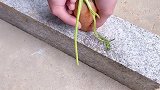 塑料，金属，木头，石材，布料，皮革，小孩玩具等都可以粘胶水