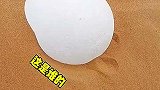 在沙漠里发现个巨蛋