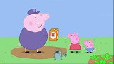 小猪佩奇：猪爷爷刚种下的种子，就被小鸟吃光，这可怎么办？