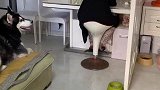 这又是什么操作