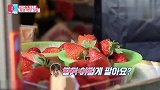 秋瓷炫吃草莓，引发韩国同伴羡慕：这得多少钱？外国女星嫁到中国