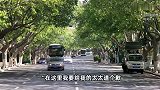 男子跳水救8岁落水男童，体力透支瘫倒呕吐不止被送医！本人道歉