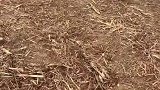 小伙用竹子做无人机顺利起飞，很刺激很有成就感