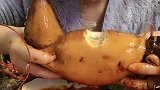 满仔麻辣鱿鱼开吃