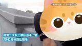 男子跳河被民警拽住-你们来早了，应等我跳河后再捞我上来