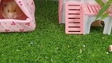 美美的一天遇到她
