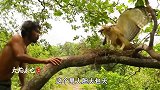 这个野人竟然骗过老鹰，偷到蛋当场烧烤吃，最后老鹰的眼神亮了