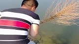 大哥这抓鱼方式厉害了，这是什么操作！