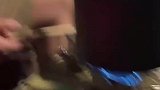 狗狗被主人绑在一起