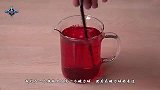 血液里到底有什么？这个视频解开我多年的疑惑
