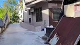 狗狗就来过一次老家，就记得路还会敲门