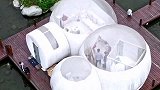 适合情侣打卡的“水上星空泡泡屋”配上全景天窗，你们觉得如何？