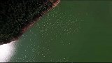 壮美！航拍“千年鸟道”的回迁候鸟群