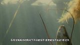 世界上唯一可能会被淹死的鱼类，简直太丢鱼脸了！