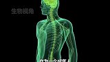 当细胞失控会发生什么