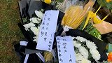 袁老，这是属于您的花海。今天，一起送别袁老！袁隆平逝世