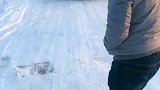 雪天偶遇奥迪掉沟，出门在外都不容易，能帮一把是一把