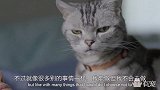 喵星人趁主人睡觉乱舔，竟然说铲屎官是自愿的
