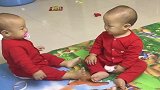 养了两个奇葩，前一秒打架，后一秒开始腻歪！