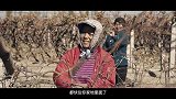 #视听中国 “石榴花开向未来”“三月三”新视听作品大赛 一等奖：《红枣熟了》