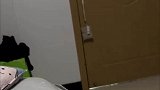 男子高烧父亲为其送饭，没想到被狗的操作惊呆