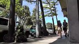 男子伪装成植物蹲在树下恶搞路人，路人纷纷被吓到