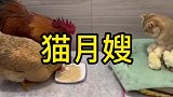现在的月嫂不好当啊不开心